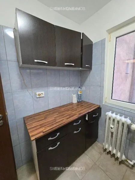 Tei, Teiul Doamnei, Facultatea de Constructii,