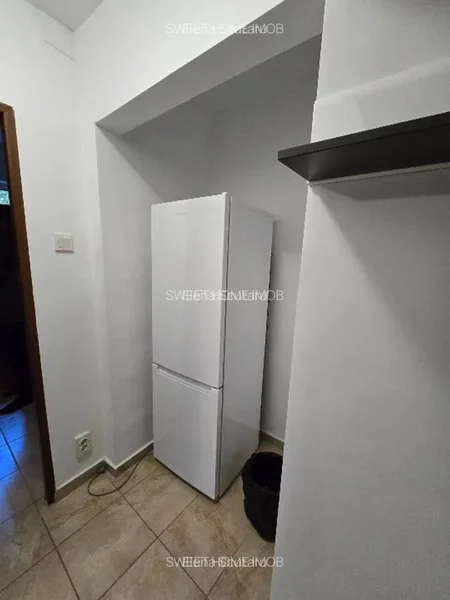 Tei, Teiul Doamnei, Facultatea de Constructii,