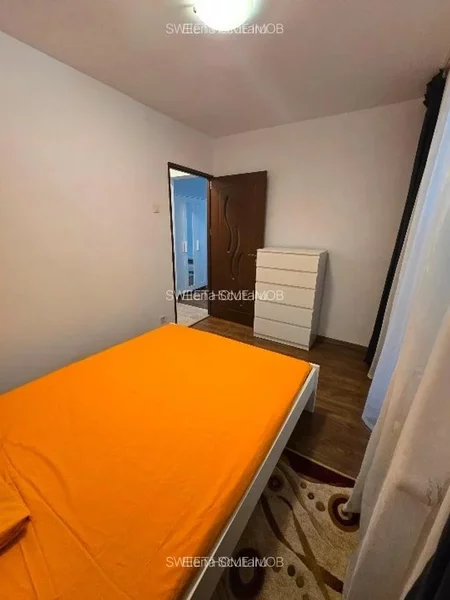 Tei, Teiul Doamnei, Facultatea de Constructii,