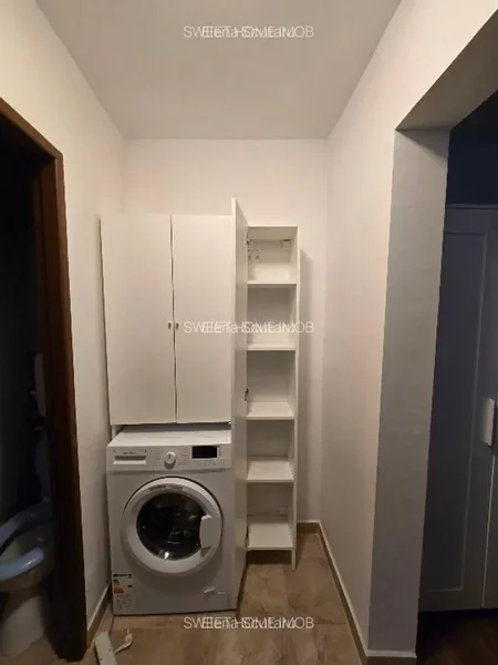 Tei, Teiul Doamnei, Facultatea de Constructii,