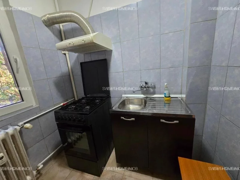Tei, Teiul Doamnei, Facultatea de Constructii,